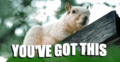 You Got This Go Get Em GIF by College of Natural Sciences, UT Austin