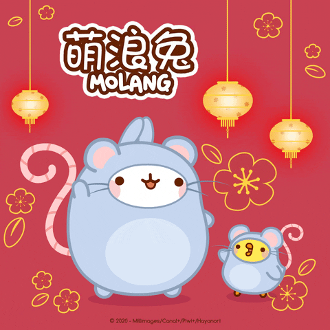 Happy Chinese New Year GIF by Molang