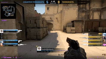 Csgo GIF