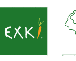EXKi Sticker