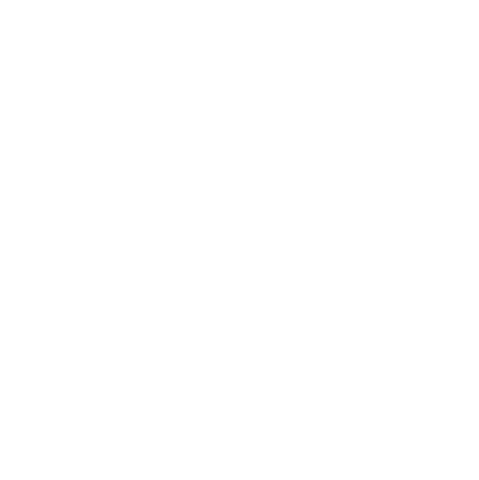 Fierce Raalte Sticker