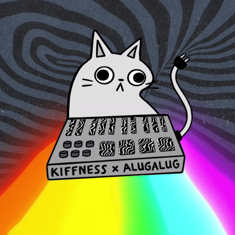 Aluga Cat GIF by THE KIFFNESS