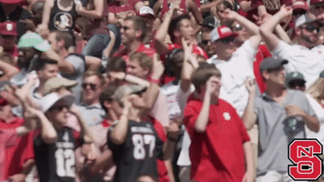 Nc State Fans GIF by NC State Athletics