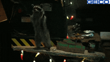 Restaurant Trash GIF by GEICO