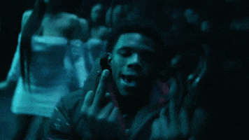 Flip Middle Finger GIF by Roddy Ricch