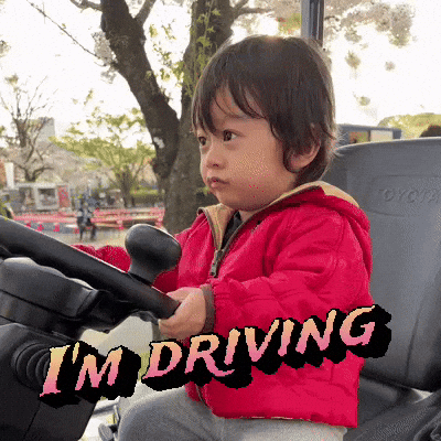 Im Driving GIF