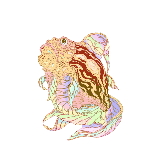 Art Fish Sticker by Capsule d'Artiste