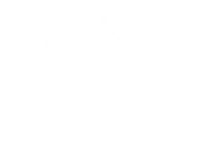 Duncan Powersports Sticker