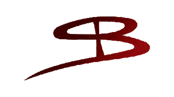 Shoes Luxury Sticker by SB by Stefano Borella