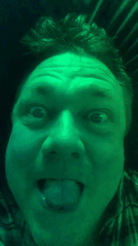 Discolicks GIF