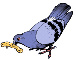 Chabd Sticker