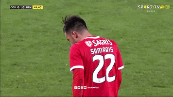 200.gif?cid=fc005b08f88a53e609231b0da42b6e081ff65669ef7c196f&rid=200.gif&ct=g