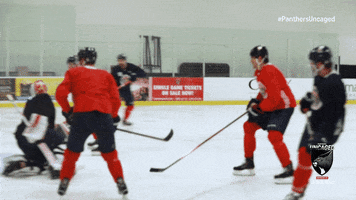 Cats Nhl GIF by Florida Panthers
