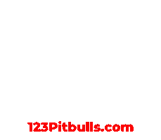 Pitbull Apbt Sticker by Chico Lopez