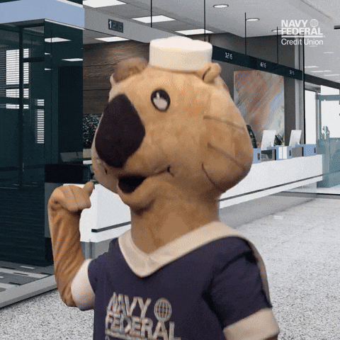 Navy Federal GIF by Navy Federal Credit Union