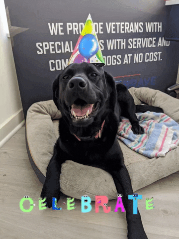 Dogs for our Brave GIF