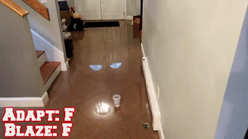 _ian_munchkin  GIF