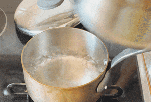 Hollandaise GIF