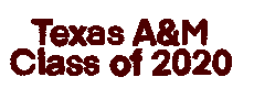 Texas Am Celebration Sticker by Texas A&M University