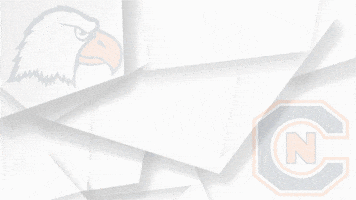 Sweep Brooms GIF by Carson-Newman Athletics