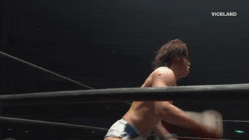 professional wrestling japan GIF by THE WRESTLERS
