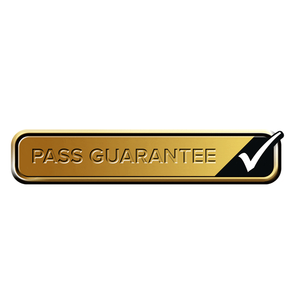 Driving Test Success Sticker