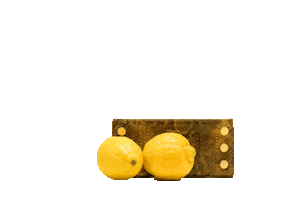 Accessories Wallet Sticker by Hammitt