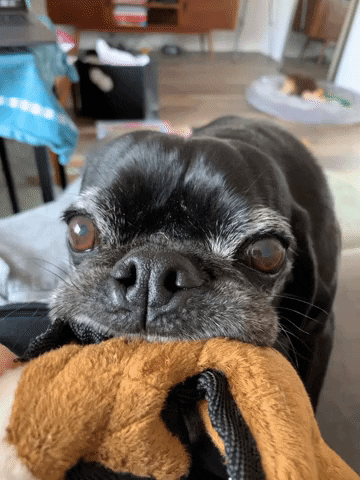 First Crop Coffee GIF