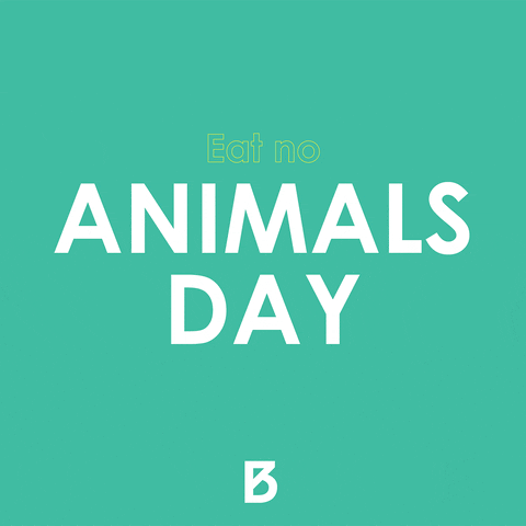 GIF by Branding a Better World