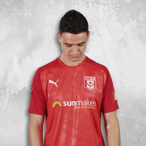 Chemie Halle Hfc GIF by HallescherFC