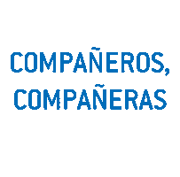 Aircatglobal Sticker by AircatFly