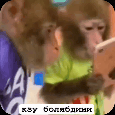 Analgin GIF