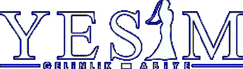 Yesimgelinlikmodaevi GIF
