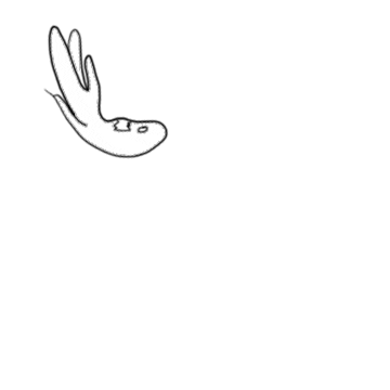 Reaction Sticker