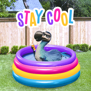 Giphy - Summer Time Swimming GIF by Dodo Australia