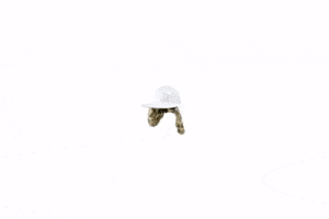 Toppaldn GIF
