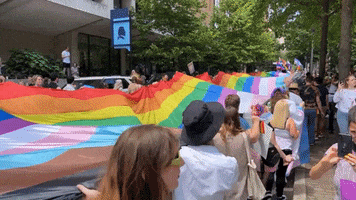 Pride Parade Rainbow GIF by Storyful
