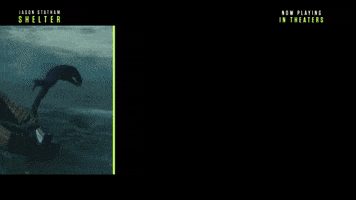 Shelter | Now Playing