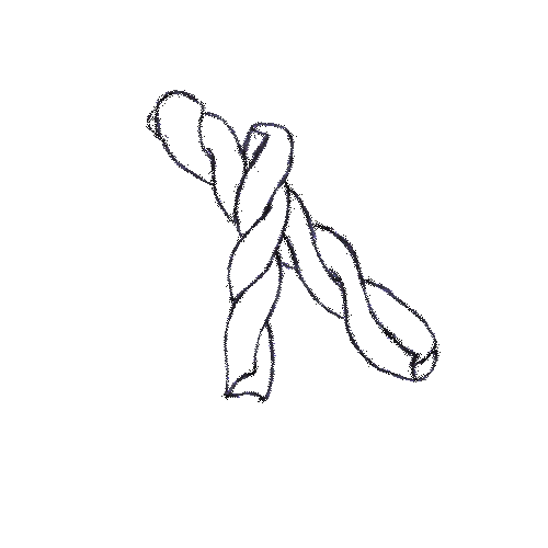 Pasta Saarland Sticker by pastamanufaktur-sb