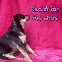 Reach for the stars or relax