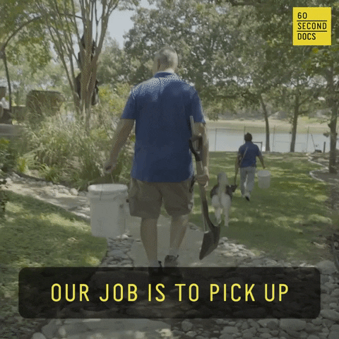 Dog Poop GIF by 60 Second Docs