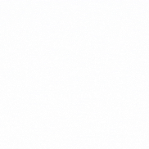 VIVID DEVELOPMENT GROUP GIF