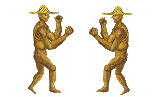 Fighting Sticker