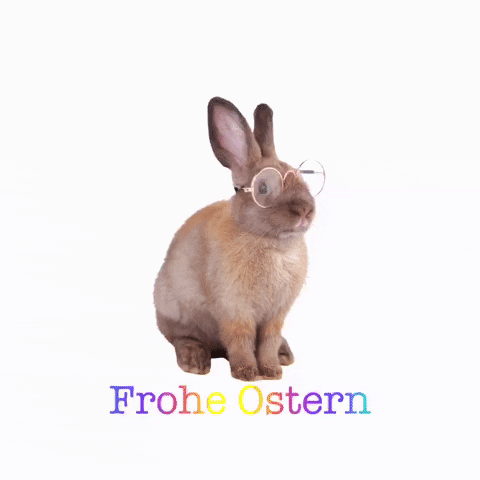 Hase Frohe Ostern GIF by IsasWomo