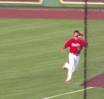 Baseball Sliding GIF by Fort Wayne TinCaps