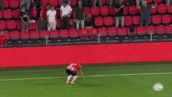 Goal Max GIF by PSV