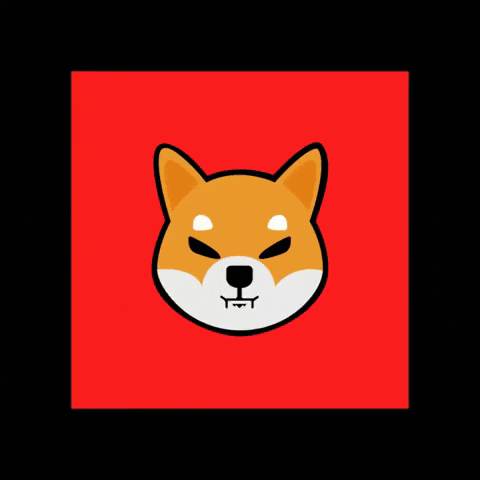 Shiba Inu's Pre-'Uptober' Fall 🐾