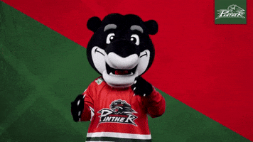 Hockey Mascot GIF by Augsburger Panther Eishockey GmbH
