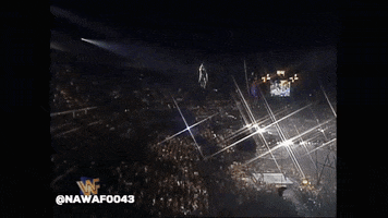 nawaf9999 shawn michaels GIF