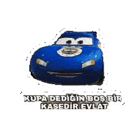 Galatasaray Araba Sticker